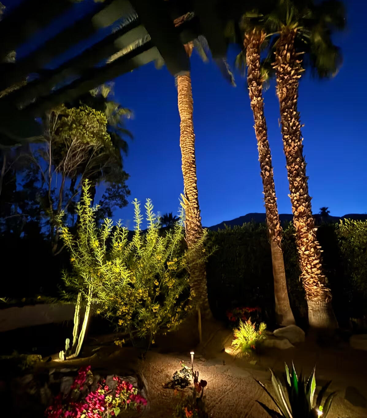 Front yard nighttime Front yard nighttime